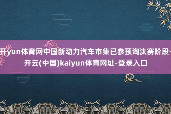 开yun体育网中国新动力汽车市集已参预淘汰赛阶段-开云(中国)kaiyun体育网址-登录入口