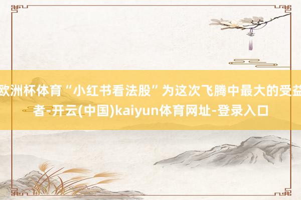 欧洲杯体育“小红书看法股”为这次飞腾中最大的受益者-开云(中国)kaiyun体育网址-登录入口