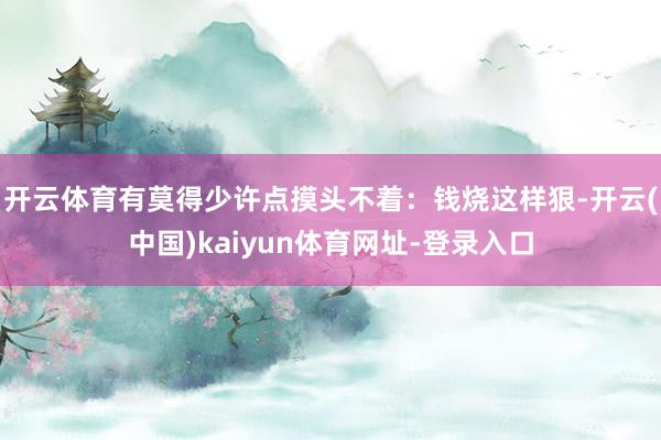 开云体育有莫得少许点摸头不着：钱烧这样狠-开云(中国)kaiyun体育网址-登录入口
