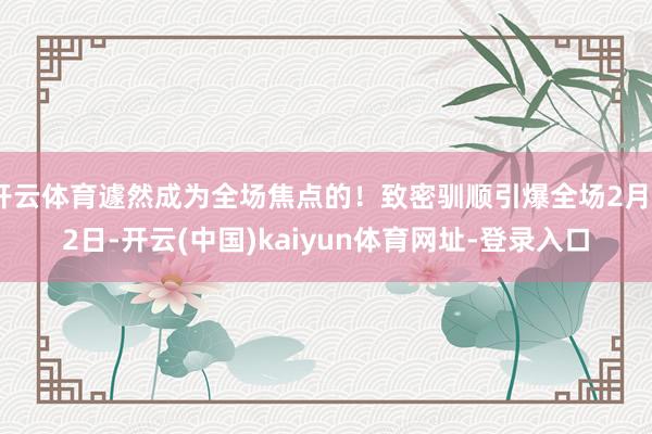 开云体育遽然成为全场焦点的！致密驯顺引爆全场2月22日-开云(中国)kaiyun体育网址-登录入口