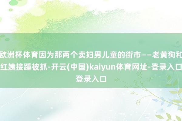 欧洲杯体育因为那两个卖妇男儿童的街市——老黄狗和红姨接踵被抓-开云(中国)kaiyun体育网址-登录入口
