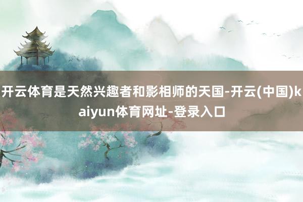 开云体育是天然兴趣者和影相师的天国-开云(中国)kaiyun体育网址-登录入口
