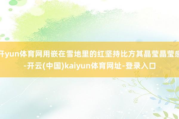 开yun体育网用嵌在雪地里的红坚持比方其晶莹晶莹感-开云(中国)kaiyun体育网址-登录入口
