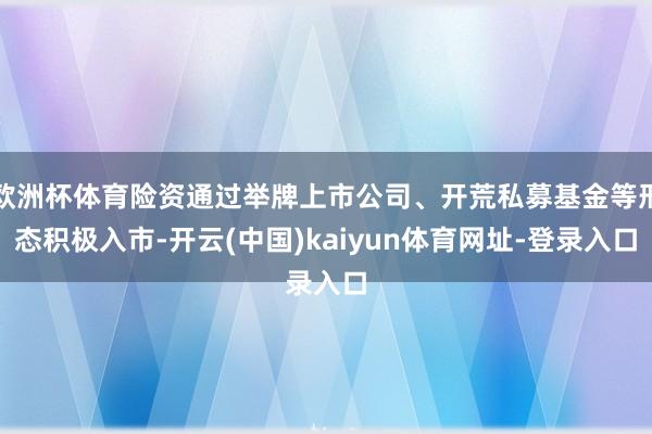 欧洲杯体育险资通过举牌上市公司、开荒私募基金等形态积极入市-开云(中国)kaiyun体育网址-登录入口