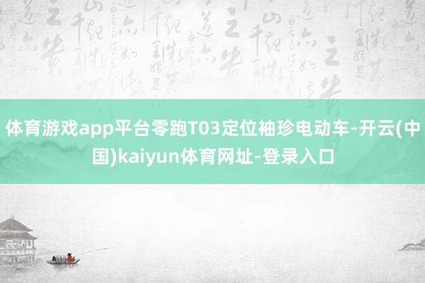 体育游戏app平台零跑T03定位袖珍电动车-开云(中国)kaiyun体育网址-登录入口
