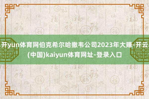 开yun体育网伯克希尔哈撒韦公司2023年大赚-开云(中国)kaiyun体育网址-登录入口