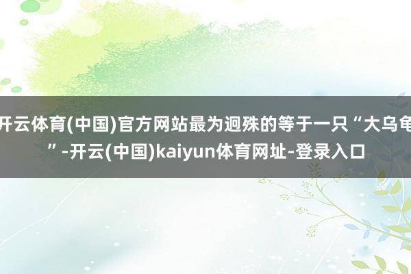 开云体育(中国)官方网站最为迥殊的等于一只“大乌龟”-开云(中国)kaiyun体育网址-登录入口