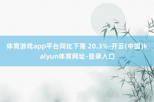 体育游戏app平台同比下落 20.3%-开云(中国)kaiyun体育网址-登录入口