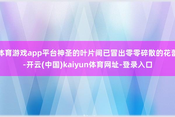 体育游戏app平台神圣的叶片间已冒出零零碎散的花蕾-开云(中国)kaiyun体育网址-登录入口
